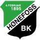 侯尼霍斯女足 logo