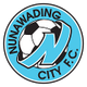 努纳瓦丁城U21logo
